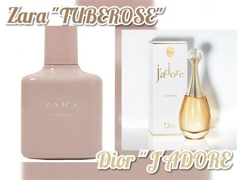 tuberose zara dupe|Tuberose Zara perfume